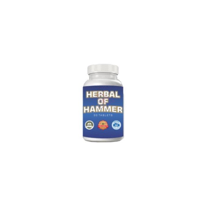 ✼ Herbal of hammer