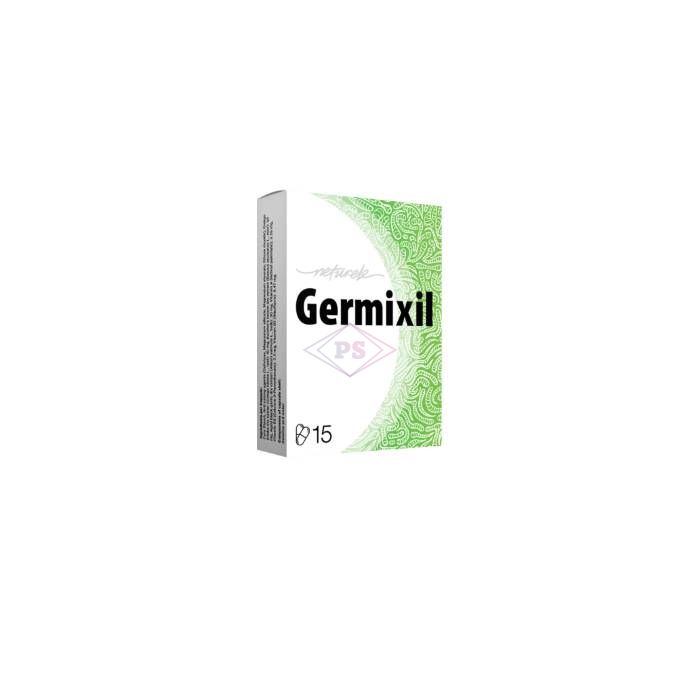 ✼ Germixil